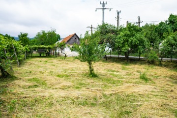 Stanování v Banátu